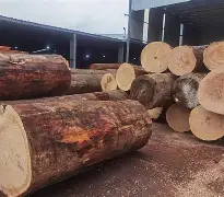 瓦伦西亚蒙尘归来，图铁杉谢幕牢解不公废弃