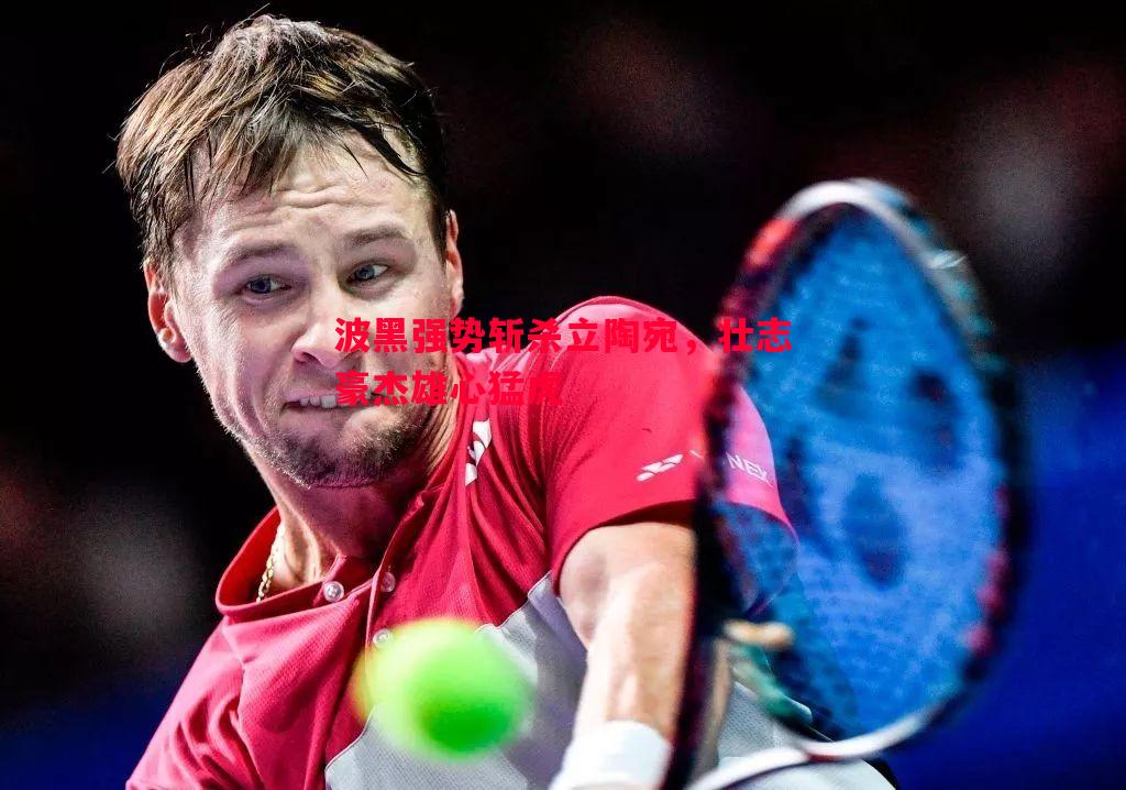 波黑强势斩杀立陶宛,壮志豪杰雄心猛虎 波黑强势斩杀立陶宛,壮志豪杰雄心猛虎